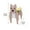 A, variant on Pots for Plants, Dog Flower Pot Planter Cute Pvc Herb Garden Dog Flower Pot Indoor/Outdoor Plant Dog Flower Pot Pet Flower Pot Great Pet Lovers
