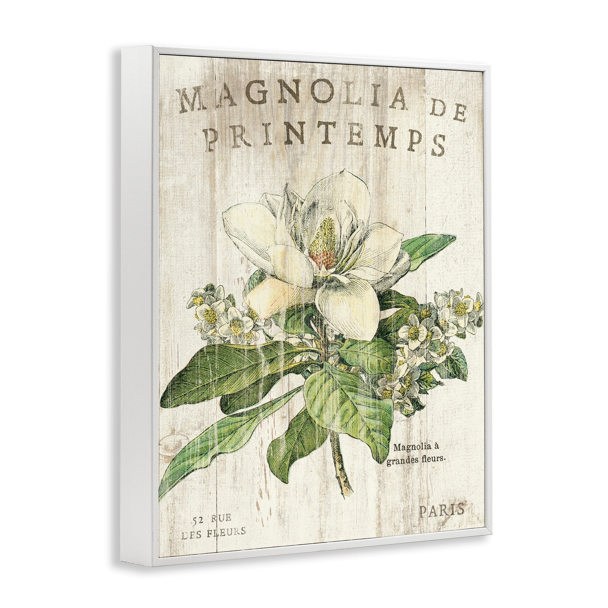 Stupell Industries French Magnolias In Spring Graphic Art White Framed Art Print Wall Art, 24x30, by Sue Schlabach