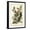 Black Frame, variant on Art.com Audubon's American Robin Art Print by John James Audubon, 12" x 18"