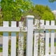 thumbnail image 4 of Simulation Flowers Rattan Rattan Simulation Green Tree Rattan Aquascape Ornaments Decoration, 4 of 6
