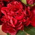 thumbnail image 6 of DR.Planzen 12in Artificial Peonies with Vase Red Artificial Peony Flower Arrangement – 9 Bloom Realistic Faux Peonies in Glass Vase with Faux Water for Table Centerpiece Wedding Home Office Decor, 6 of 8