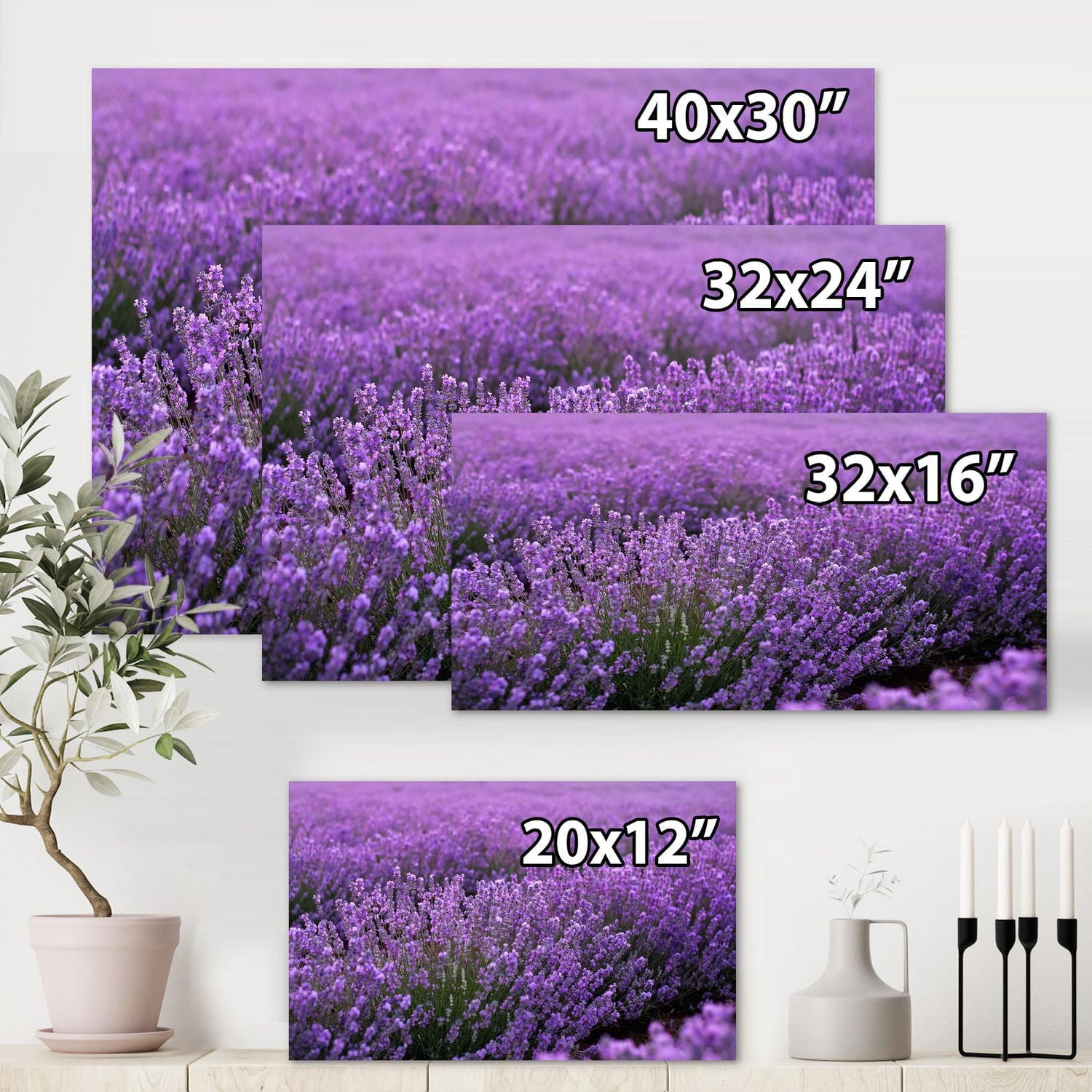 Designart Champ de lavande violet en fleurs Art mural sur toile