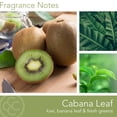 thumbnail image 2 of Colonial Candle Cabana Leaf 14.5oz 3 Wick Candle, Multicolor, 2 of 6