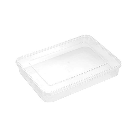 Food Storage Container,Plastic Food Containers with Lid,Good Sealing Dumpling Box,Stackable Dumpling Container,Portable Freezer Storage Containers - Tray to Keep Fruits,Vegetables,Meat(1PC,10"x7.48)