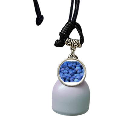 Fresh Blueberry Tropical Fruit Picture Wind Chimes Bell Car Pendant
