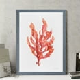 thumbnail image 2 of Wexford Home Coral Kelp I-Framed - Grey - 22X30, 2 of 4