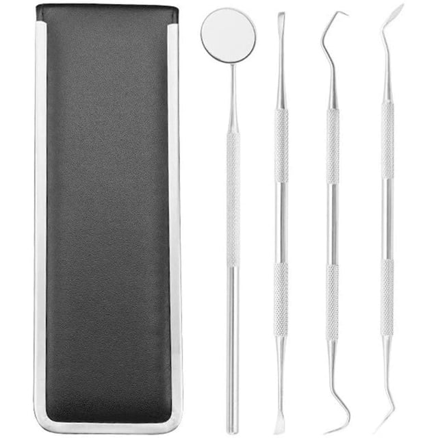 Juego de 4 herramientas de acero inoxidable para la limpieza dental de perros: espejo dental, raspador bucal, removedor de dientes, placa y sarro.