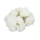 thumbnail image 3 of Cadena de luz LED Flor de rosa Lámpara decorativa con pilas Iluminación colgante para banquete de boda, Blanco Advancent HA003522-01, 3 of 6