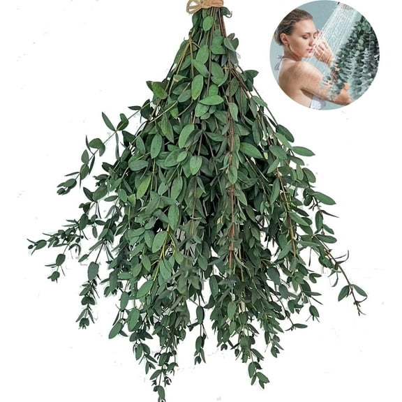 Natural Eucalyptus Decorations,Fine-leaved Eucalyptus Bundles,Preserved Eucalyptus Stems,Dried Eucalyptus Stems Home Decor,for Shower Vase Arrangements Table Centerpieces (Green)