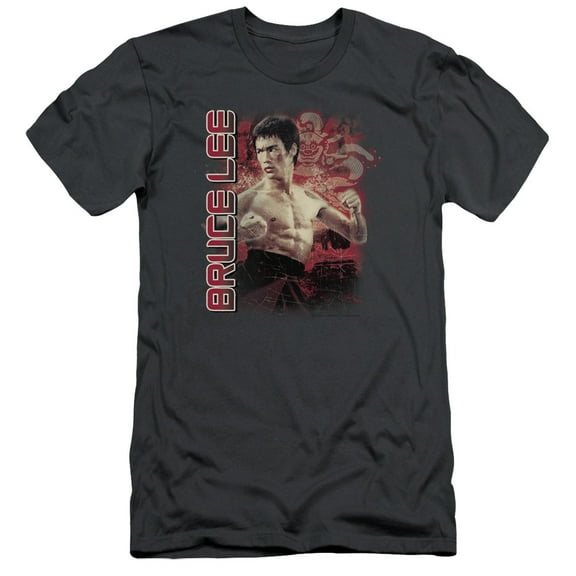 Bruce Lee Fury S/S Adult 30/1 T-Shirt Charcoal