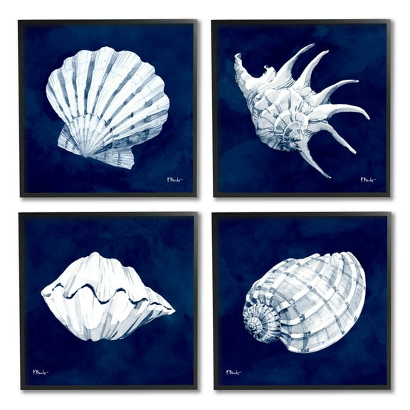 Stupell Industries Traditional Cyanotype Shells Graphic Art Black Framed Art Print Wall Art, Set of 4, Design by Paul Brent