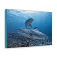 thumbnail image 2 of Tiger Shark Hunting Tiger Shark on Hunt Print Animal Wall Art Wildlife Canvas Prints Wall Art Ready to Hang Unframed, 2 of 18