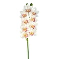 thumbnail image 1 of Vickerman 33" Contemporain Tissu Tige Cymbidium en Blanc, 1 of 2