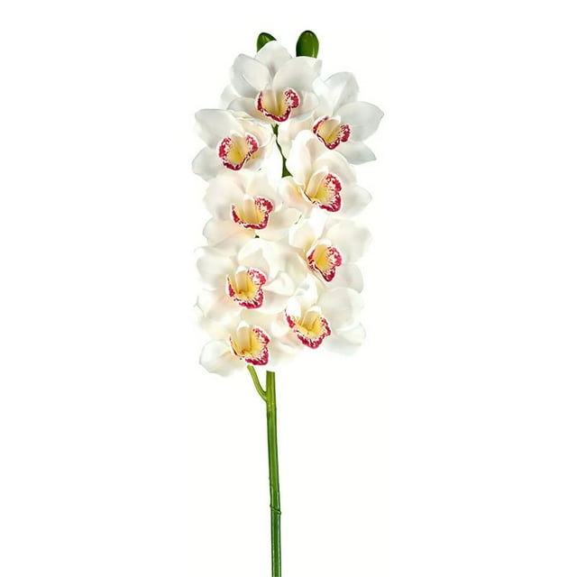 Vickerman 33" Contemporain Tissu Tige Cymbidium en Blanc