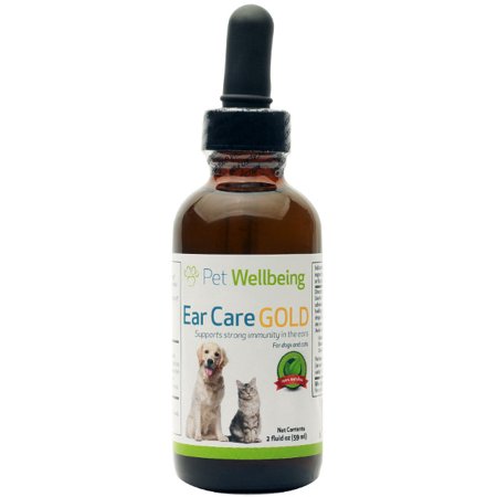 Natural Ear Infection Remedies For Dog Natural Ear Infection Remedies For Dog