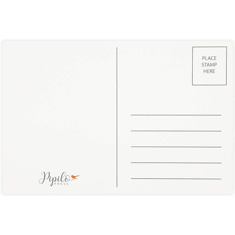 Pipilo Press 100 Pack Bulk Kraft Paper Blank Postcards For Mailing