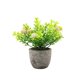 thumbnail image 1 of Ounissouiy Árbol artificial del dinero de la durabilidad duradera verde en el suculento artificial elegante respetuoso del medio ambiente del Decoración aliento de bebé rosa, 1 of 6