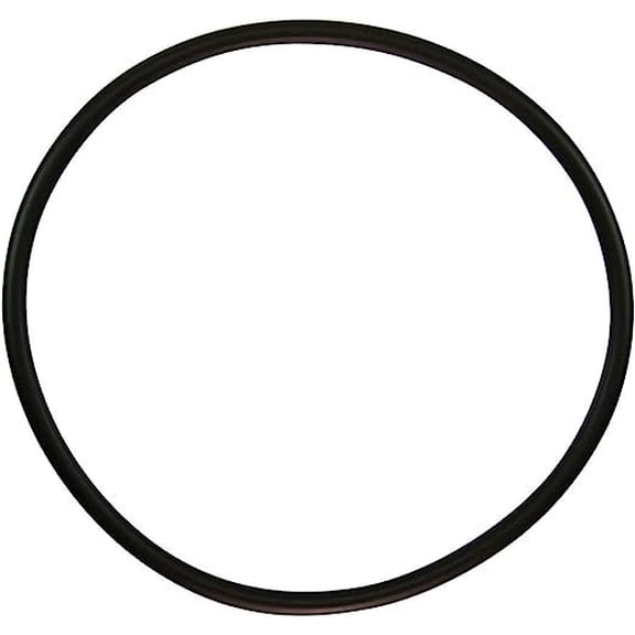 Pentair 35505-1440 Trap Cover O-Ring Replacement for Pentair Pool and Spa Inground Pumps