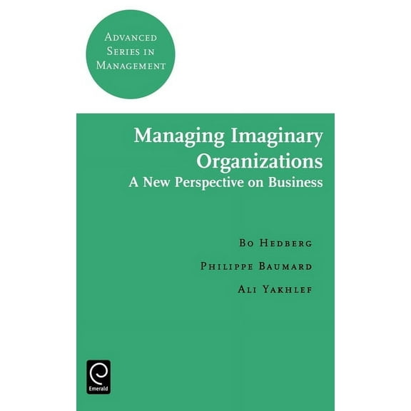 Advanced Management Managing Imaginary Organizations, Book 3, (Hardcover)