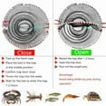 thumbnail image 2 of Crab Trap Bait Lobster Crawfish Shrimp Portable Folded Cast Net Magic Collapsible Fishing Traps Nets, 2 of 4