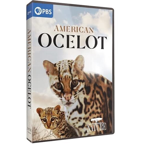 NATURE: American Ocelot