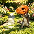 thumbnail image 5 of Disco*unt！Dinosaur Head Shaped Nut Feeder for Backyard Tree, Funny T Rex Resin Wildlife Feeder for Squirrels Chipmunks, Outdoor Garden Hanging Bird Seed Decor, 5 of 5