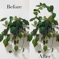 thumbnail image 2 of New Vine Climbing Rack Flower Plant Trelli Support Frame Green Plants Brackets, 2 of 7