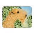 thumbnail image 1 of Carolines Treasures SS8888RUG Tapis de Mousse à Mémoire Lavable en Machine, 1 of 4
