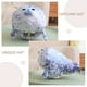 thumbnail image 5 of Sombrero de animal de peluche divertido tocado de foca sombrero de actuación en escenario disfraz sombrero Decoración, 5 of 8