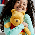 thumbnail image 5 of Disney Store Official Winnie the Pooh Plush Medium 13 inches, 5 of 7