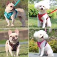 thumbnail image 2 of No Pull Dog Harness and Leash Set Adjustable Pet Harness Vest For Small Dogs Cats Reflective Mesh Dog Chest Strap French Bulldog, 2 of 5