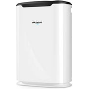Okaysou AirMax8L Air Purifiers with Ultra-Duo 2 Filters, Medical Grade H13 HEPA for Home Pets Smokers, Remove 99.97% Smoke Dust Pollen VOCs for Large Room, Bedroom, Up to 800 Sq. Ft