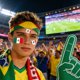 thumbnail image 5 of Tatuajes temporales para aficionados al fútbol | Paquete de 10 pegatinas para rostro y cuerpo para el día del partido, 5 of 6