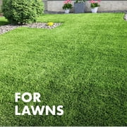 Spectracide Immunox Fungus Plus Insect Control for Lawns, 32 Ounces