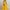 Yellow, variant on Women 2 Piece Outfits Sleeveless Crop Top High Waist Long Skirt Set