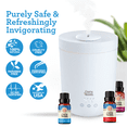 thumbnail image 6 of GuruNanda Essential Oils Set of 6  Blended Scents for Aromatherapy and Diffusers, 100% Pure and Natural, 10 mL Each, 6 of 8