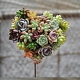 thumbnail image 4 of Support en Forme de Cœur en Fil de Fer pour Pot de Succulentes Support de Plante 17cm, 4 of 6