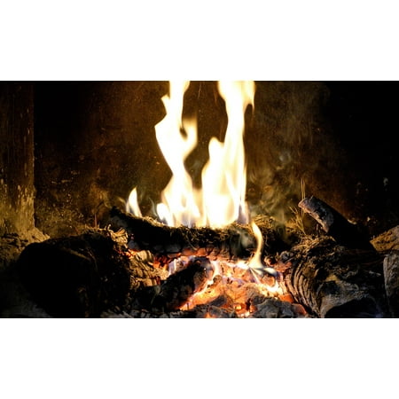 LAMINATED POSTER Home Fireplace Bonfire Fire Poster Print 24 x 36 ...