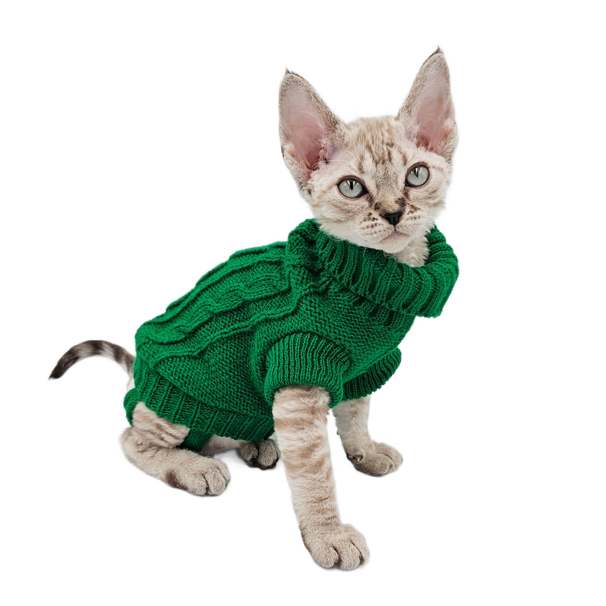 トップス Turtleneck Sage Cat & Mouse 3y 236A7754_600x.jpg?v=1729200560