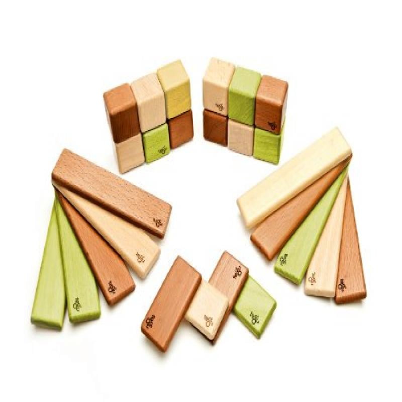 tegu discovery set