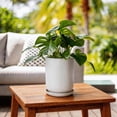 Ceramic Pots for Plants, Heavy Plant Pot for Indoor Outdoor Plants ...