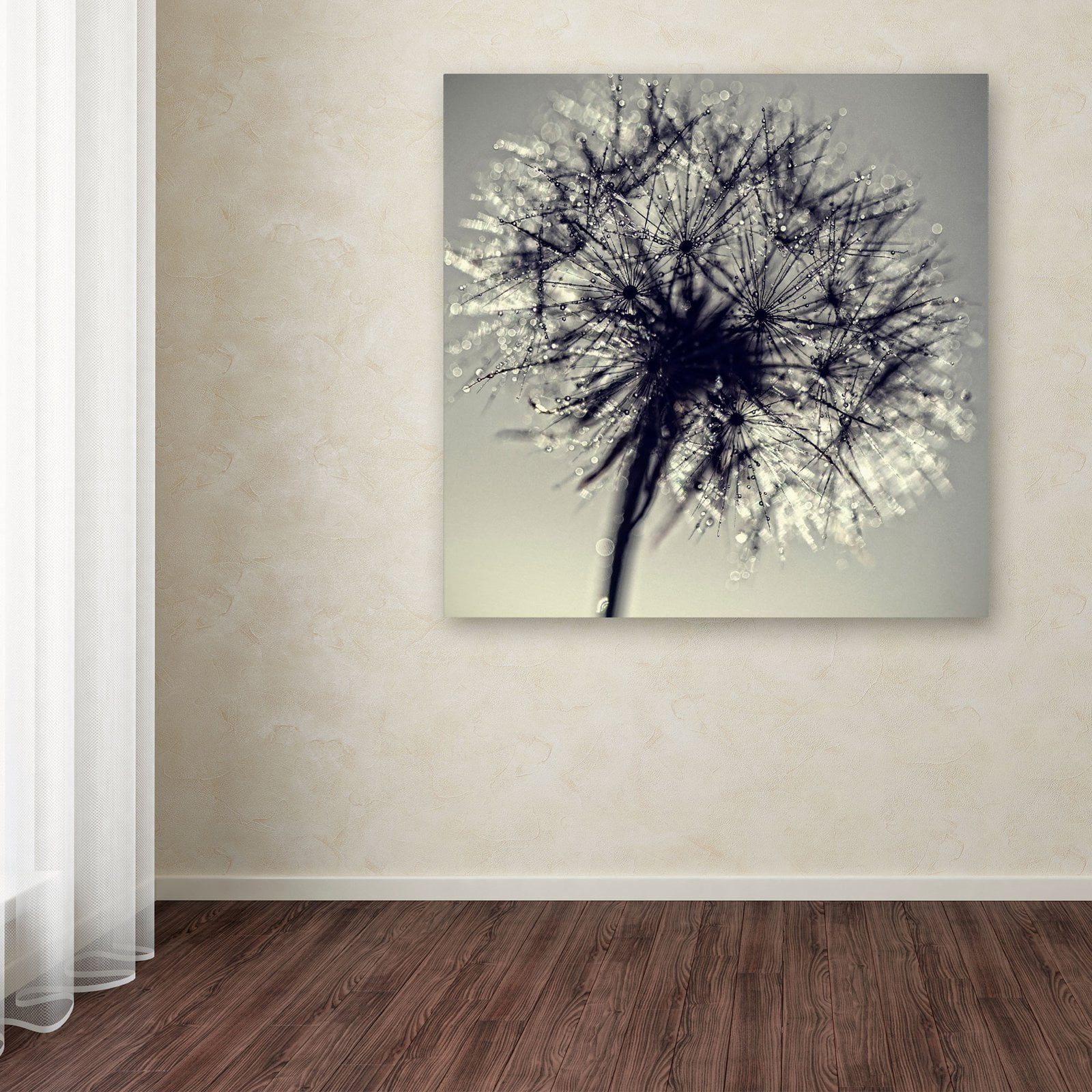 Trademark Fine Art "Morning Sparkles" Canvas Art by Beata Czyzowska Young