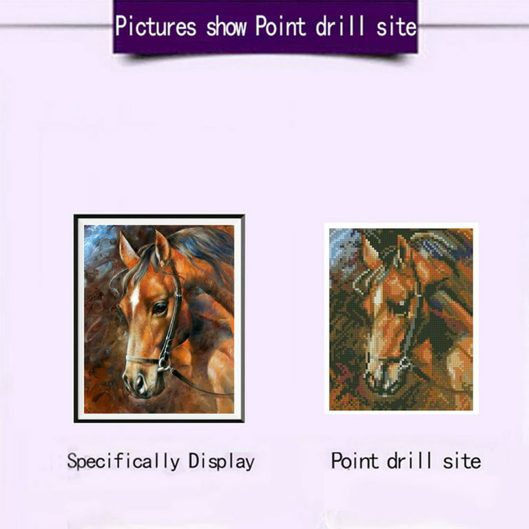 Diamond Painting Horse DIY Flag Style Design Embroidery House Display  Decoration