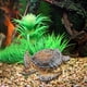thumbnail image 1 of Figura de tortuga marina Perfecl PVC 16,5 cm, 1 of 8