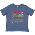 thumbnail image 3 of Inktastic Christmas Dear, Santa Before I Explain How Much Do You Know? Boys or Girls Baby T-Shirt, 3 of 5