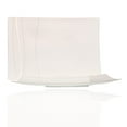 thumbnail image 3 of Red Vanilla OP100-327 15.5 x 10.25 in. Odett Platinum Rectangular Platter, 3 of 3