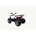 thumbnail image 3 of Tao Motor Raptor 125 VTT de Taille Moyenne Édition Limitée (Assemblage Requis), Blanc, 3 of 6