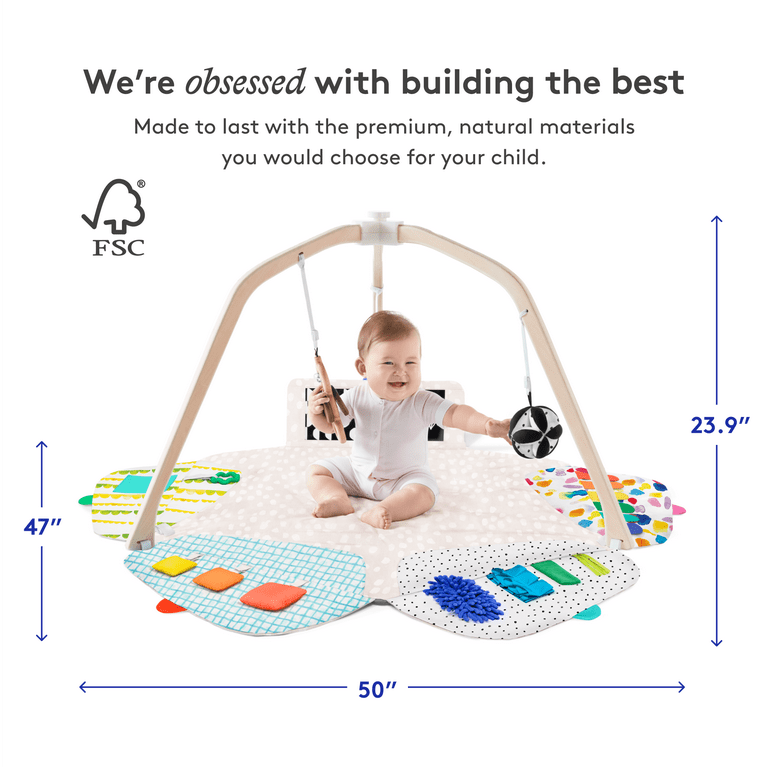 Lovevery The Play Gym, Stage-Based Developmental Activity