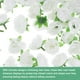 thumbnail image 2 of Uxcell 50 Paquete Cabezas de Rosas Artificiales 1.2'' Pequeñas Cabezas de Rosa de Seda Falsa para Decoraciones de Ramo de Boda Fiesta Blanco Puro, 2 of 7