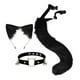 thumbnail image 2 of 3x orejas y cola de zorro de peluche juntas Cosplay Chat Orejas y cola Orejas juntas para negro, 2 of 6